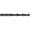 Burghiu pentru metal PROJAHN, HSS-R DIN 338 Tip N ECO, 4 mm + ambalaj, 2 buc.