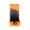 Set burghie metal elicoidale PROJAHN, HSS-R DIN 338 Typ N ECO, 1-13mm, 25 buc/set - sculeshop